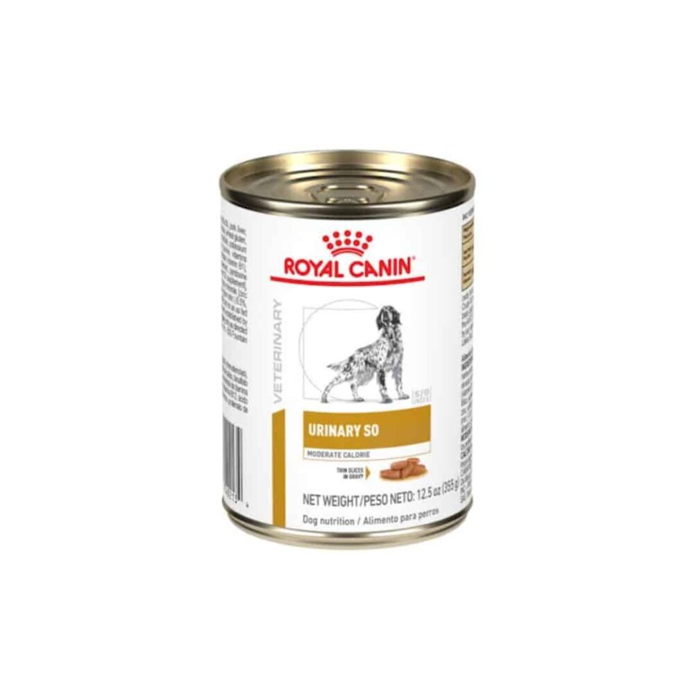 Alimento humedo para perros - royal canin