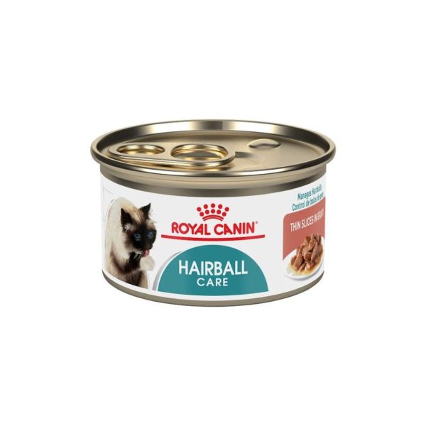 alimento humedo para gatos royal canin