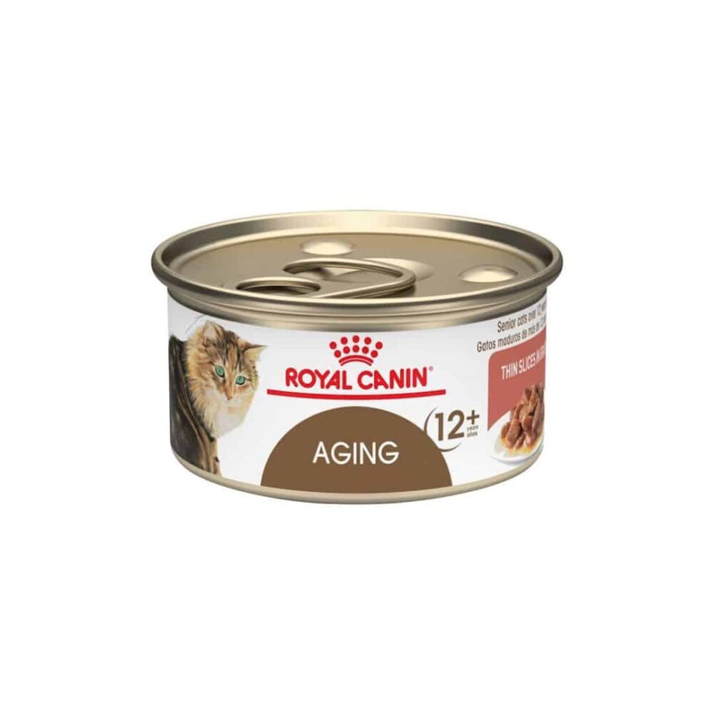 alimento humedo para gatos royal canin bogota - mishi pets