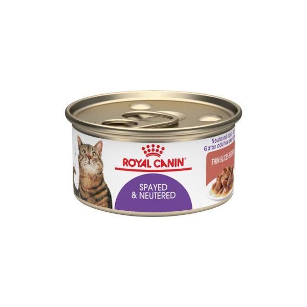 alimento humedo para gatos royal canin en bogota