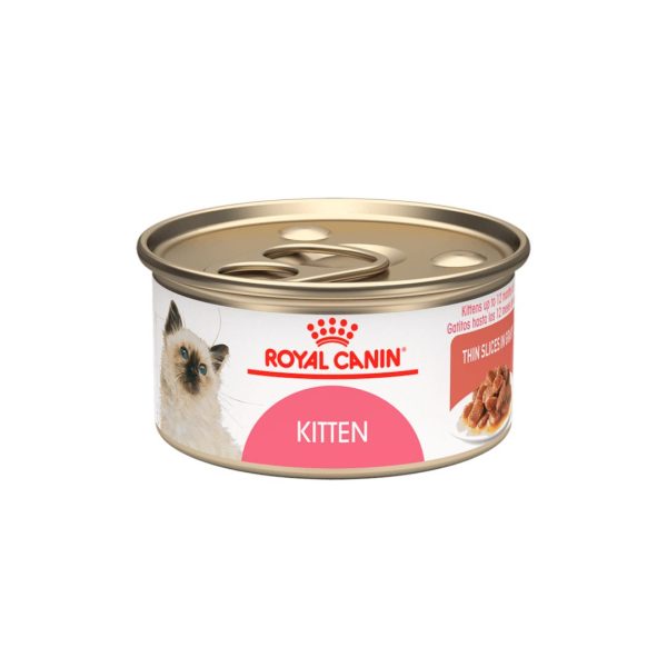 alimento humedo para gatos royal canin en bogota - mishi pets