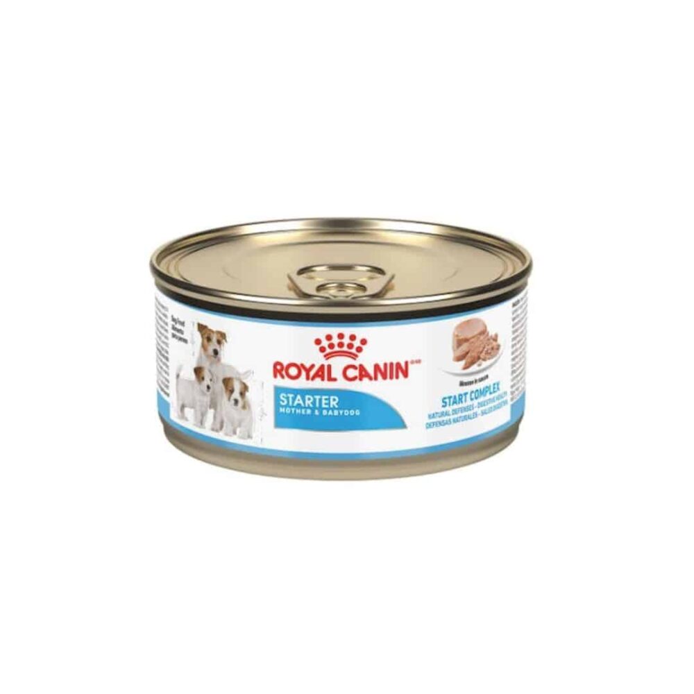 alimento humedo para perros royal canin