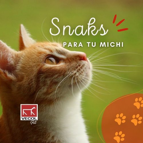 snaks para mascotas en bogota - mishi pets
